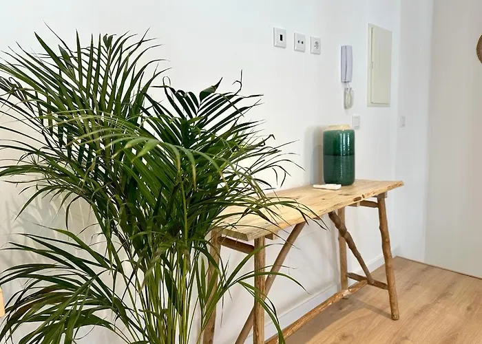 Duplex 2 Min Da Nazaré